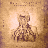 music video vintage GIF by Morena Daniela