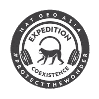 Podcast Monkey Sticker by National Geographic Asia