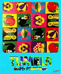 art cats GIF by PEEKASSO