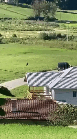 BorderViolence giphygifmaker GIF