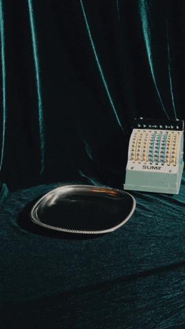 GIF by SALT STUDIO