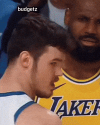 Lebron James Wtf GIF