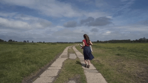 steffanp giphygifmaker GIF