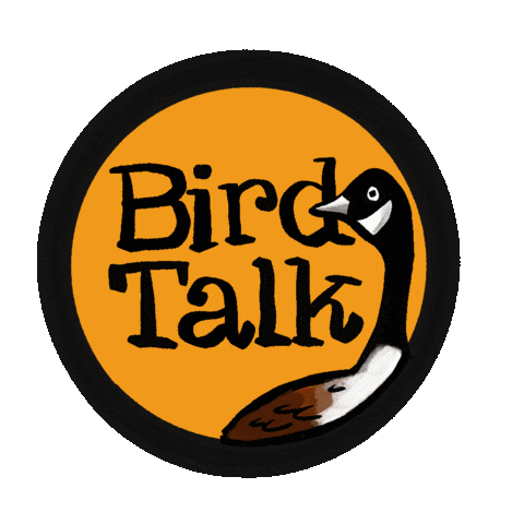 Birdtalk Sticker by girlinwhiteglasses