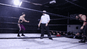 SHWAWrestling squeeze lucha headband perth wrestling GIF