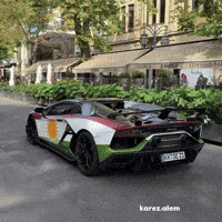 Kurdistan Kurdish GIF