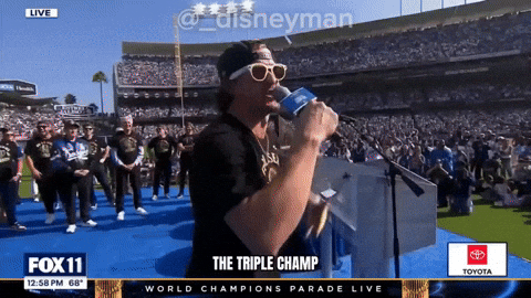 World Series Mlb GIF