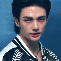 Skz Karma GIF