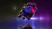 loop rainbow GIF
