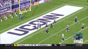 Touchdown Usf GIF by SoFloBulls