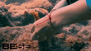 blue planet ocean GIF by BESE