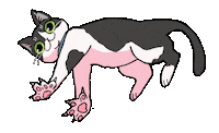 Cat Playing Sticker by Danchhichi