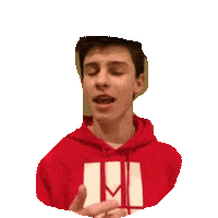 shawn mendes STICKER by imoji