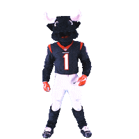Mascot Yes Sticker by Houston Texans