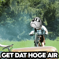 GIF by Hoge Finance