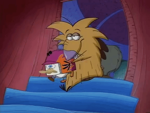 nickrewind giphydvr nicksplat angry beavers giphyab031 GIF