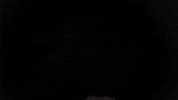 National Football League GIF by Broncos