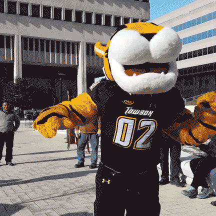 Happy Baltimore Ravens GIF by Towson University - Find & Share on GIPHY