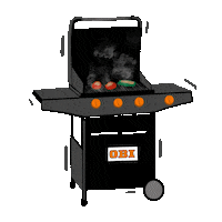 Grill Lato Sticker by OBI