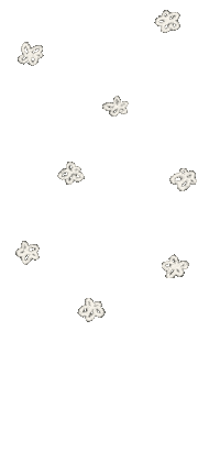 Flower 花 Sticker