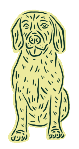 Dogwalkers giphyupload Sticker