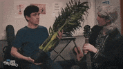 Conor Mckenna Guitar GIF by FoilArmsandHog