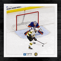 providencebruins hockey bruins providence ahl GIF