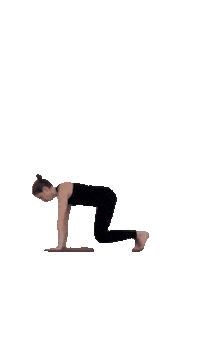 skilltoflowpilates pilates coreworkout movementpractice skilltoflow Sticker