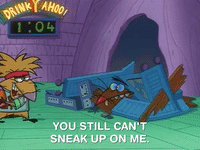 angry beavers nicksplat GIF