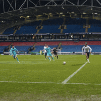 Sport Soccer GIF by Bolton Wanderers FC