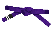 BTTEstonia purple bjj belt brazilian jiu jitsu Sticker