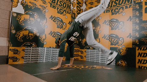 Baseball Bison GIF by NDSU Athletics