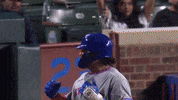 Celebrate New York Mets GIF by MLB