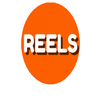 Instagram Orange Sticker