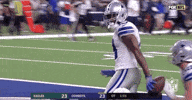 2018 Nfl Football GIF by NFL