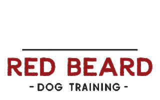 dexter redbearddogtraining Sticker by Red Beard