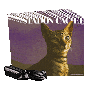 Sc Tc Sticker by Temple Caché