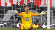 angry football GIF by VfL Wolfsburg