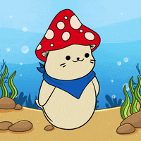 Dance Dancing GIF by Sappy Seals Community