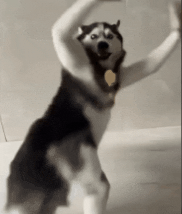 Funny Dance Dancing GIF by Chiragh Baloch