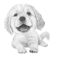 Golden Retriever Dog Sticker by AniCura Nederland