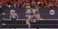 Chris Jericho Aew On Tnt GIF by All Elite Wrestling on TNT