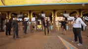 GIF by Attractiepark Toverland