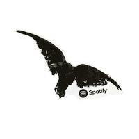 Sticker Album Sticker by Spotify