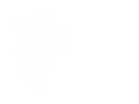 Angel Wing Sticker