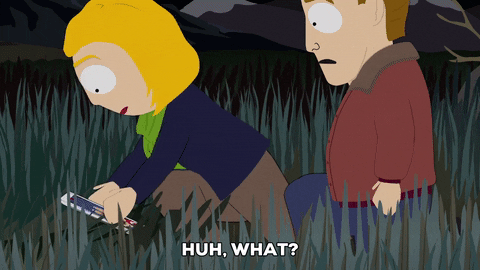 picture family GIF by South Park 