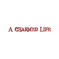 ACharmedLife fashion brand indian fashion brand Sticker