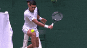 Sport Tennis GIF by Wimbledon