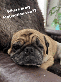 Dog Work GIF