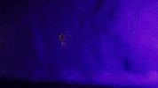 Carnaval Band Folia GIF by Band